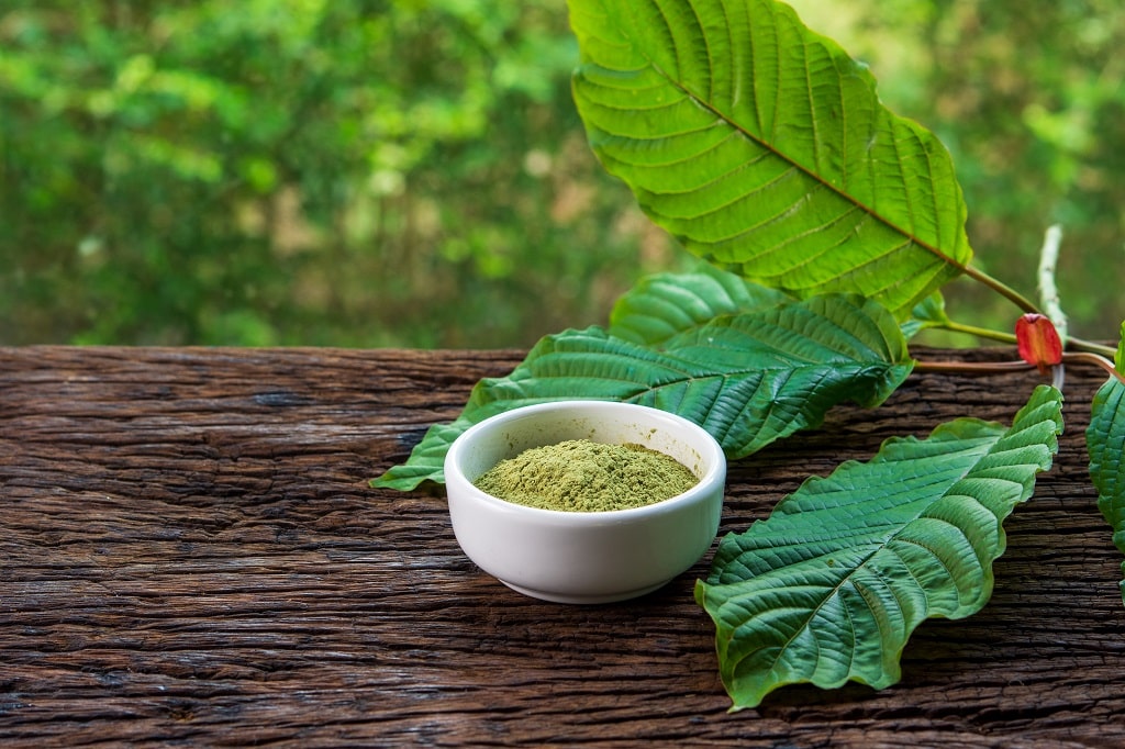 what is red vein kratom used for
