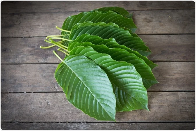 Guide to Indo Kratom