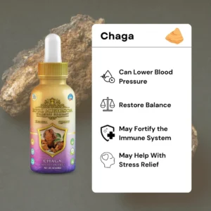 Royal Mushroom Chaga Mushroom Oil Tincture 60mL