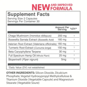 Original Hemp CBD Chaga Mushroom – Relief+