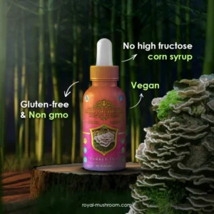 Royal Mushroom Turkey Tail Mushroom Oil Tincture 60ml