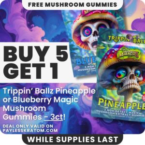 Trippin Ballz Mushroom Gummies Pineapple 100MG (DEAL BUY 5 GET 1)
