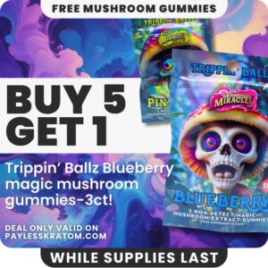 Trippin Ballz Mushroom Gummies Blueberry 100MG (DEAL BUY 5 GET 1)