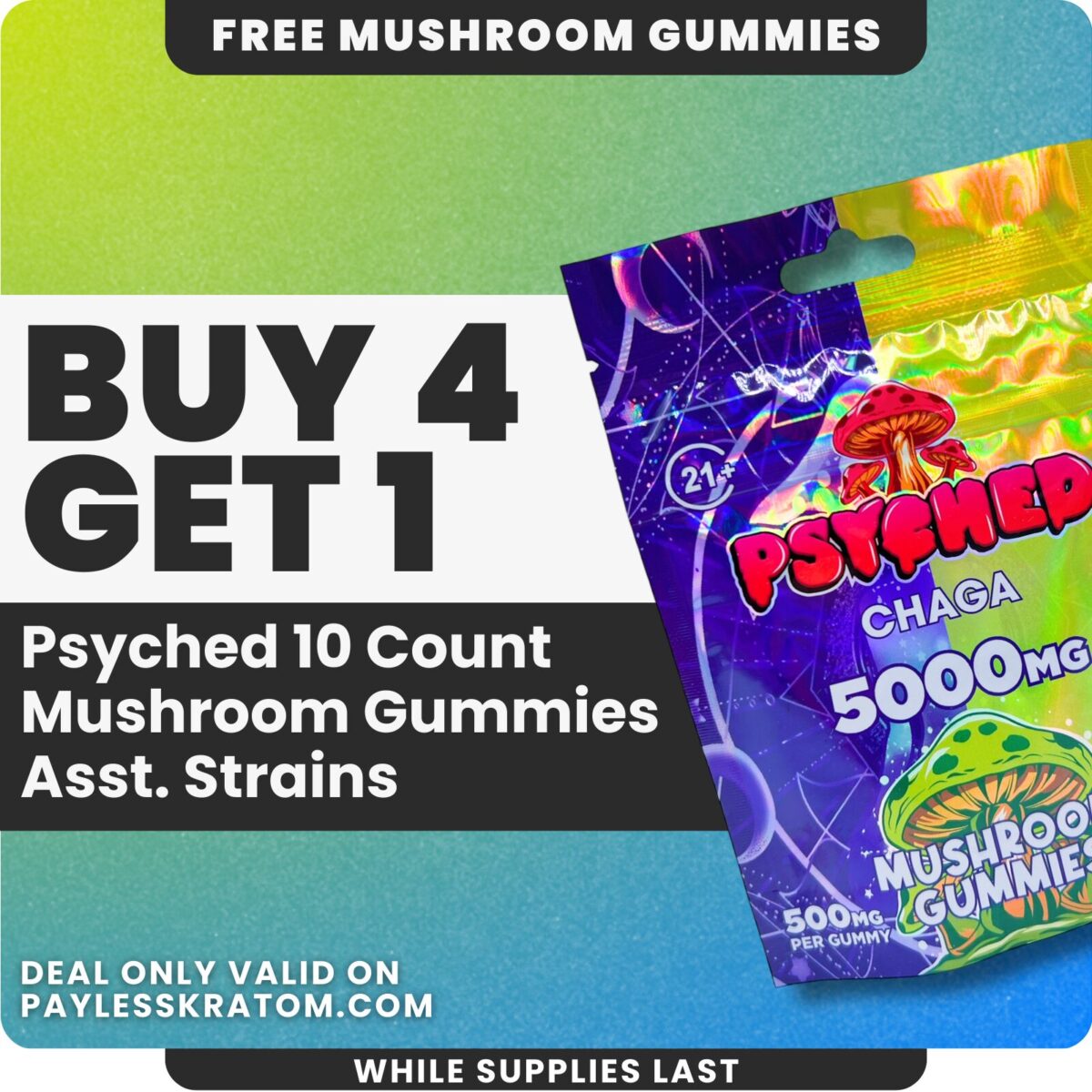 Psyched Chaga Mushroom Gummies (10ct) – DEAL BUY 4 GET 1