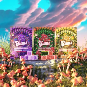 Yumz Magic Nootropic Gummies 5CT