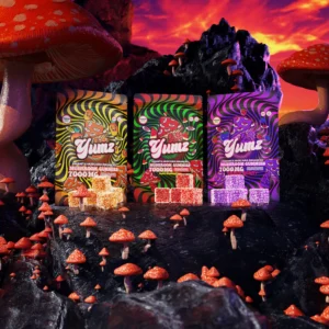 Yumz Magic Nootropic Gummies 5CT
