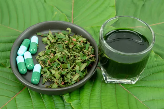 Discover the Best Kratom for Sale: Your Ultimate 2025 Guide to Quality and Choice | High-Quality Image