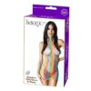 Rainbow Halter Mini Dress & G-String