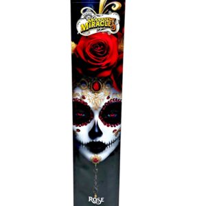 Modern Day Miracles Incense 10ct