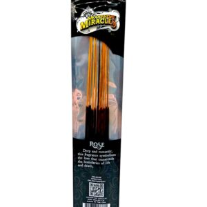 Modern Day Miracles Incense 10ct