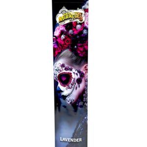 Modern Day Miracles Incense 10ct