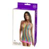 Rainbow Mini Fishnet Dress