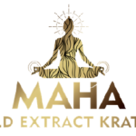 MAHA Gold Kratom Extract Shot 10mL (BUY 1 GET 1) | High-Quality Image