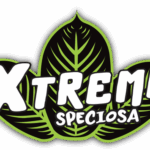 Extreme Speciosa Kratom Kava Extract 80mg Kratom 120mg Kava 12mL (BUY 1 GET 1) | Image 3 | Extreme Speciosa Kratom Kava Extract 80mg Kratom 120mg Kava 12mL (BUY 1 GET 1) | High-Quality Image