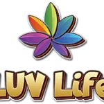 Luv Life Happy Focus Kava Shot 1150mg 60mL (BUY 1 GET 1) | Image 8 | Luv Life Happy Focus Kava Shot 1150mg 60mL (BUY 1 GET 1) | High-Quality Image